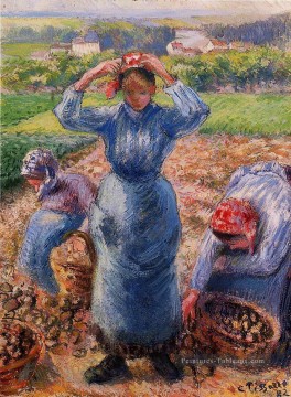 paysans récoltant des pommes de terre 1882 Camille Pissarro Peinture à l'huile